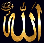 M.H.Z