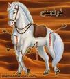 alialibool