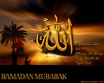 truemuslim008