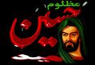 SAFEEREHUSSAIN