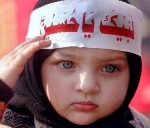 saqibzd
