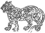 shakirmehdi
