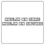 ahlebait786