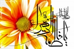 AmatullahDk