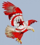 medska