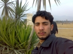 alinaqvi512