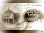 haiderymobiles