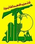 tareknajdi
