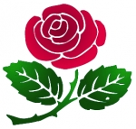 smiling_rose