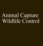 Animal_Capture_Wildlife_Control
