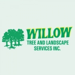 Willow_Tree_and_Landscaping_Services