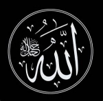 Mumkin-al-wujud