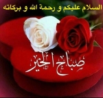 usmankhalil691
