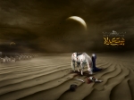 alibalaaj786