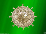 sayedshabbarrizvi